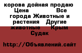 корова дойная продаю › Цена ­ 100 000 - Все города Животные и растения » Другие животные   . Крым,Судак